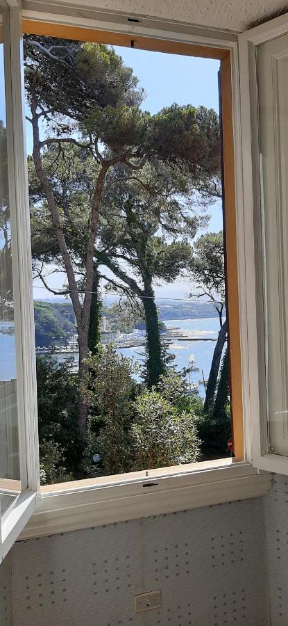 Villa Violetta Castiglioncello Dış mekan fotoğraf