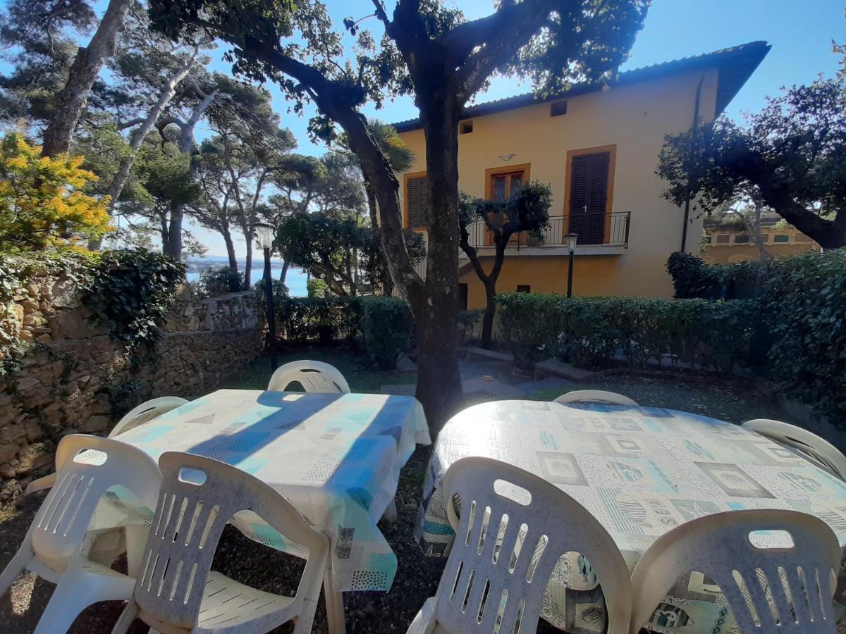 Villa Violetta Castiglioncello Dış mekan fotoğraf