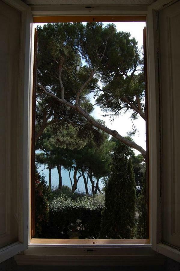 Villa Violetta Castiglioncello Dış mekan fotoğraf